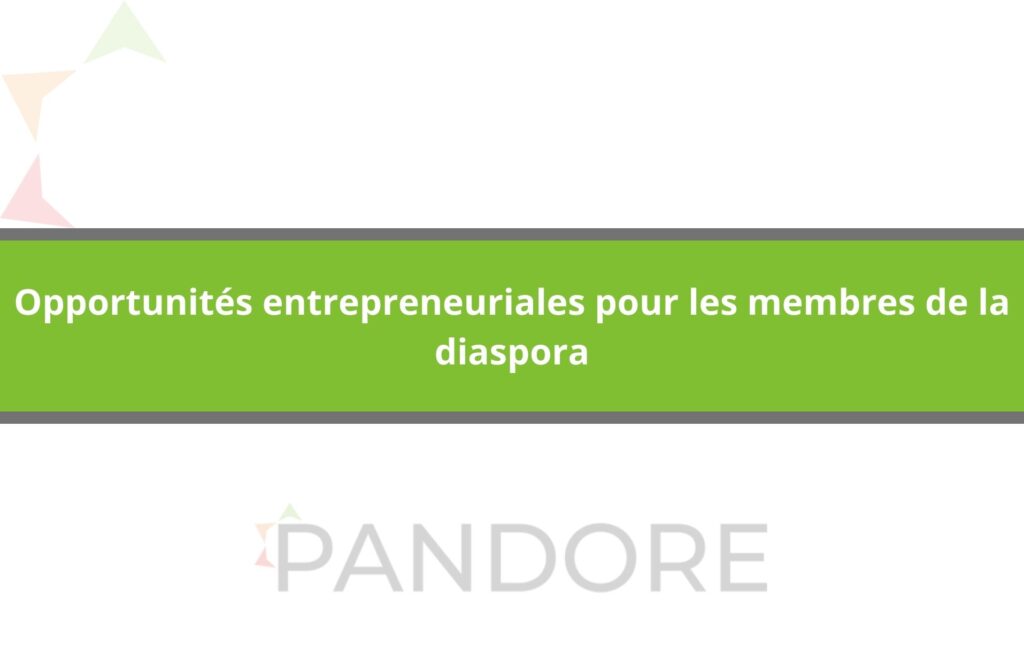 Opportunités entrepreneuriales pour les membres de la diaspora